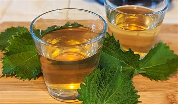 9 căn bệnh chỉ cần dùng lá tía tô là trị khỏi, không tốn tiền thuốc ảnh 2