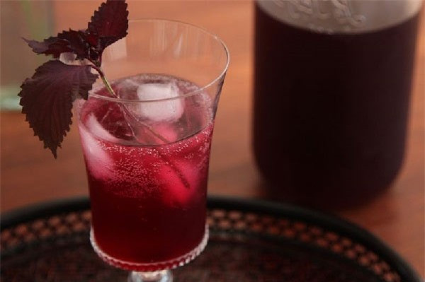 9 căn bệnh chỉ cần dùng lá tía tô là trị khỏi, không tốn tiền thuốc ảnh 3