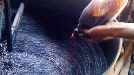 4 loai nuoc hai than khung khiep nhat ma hang trieu nguoi Viet chu quan-Hinh-2