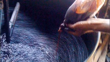 4 loai nuoc hai than khung khiep nhat ma hang trieu nguoi Viet chu quan-Hinh-2