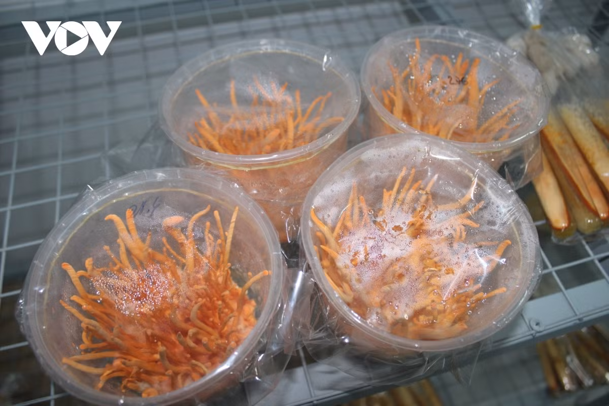 Canh bao nguoi tieu dung ve 