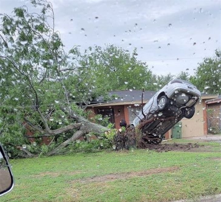 Hiệu ứng domino tự nhiên: Một cơn bão quật ngã một cái cây và rễ của nó đã nâng chiếc xe đậu ở bên cạnh lên.