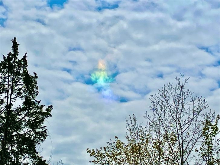 Tôi thoáng thấy một đám mây óng ánh.