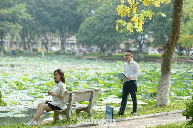 Nơi hẹn hò lý tưởng dành cho bạn trẻ.