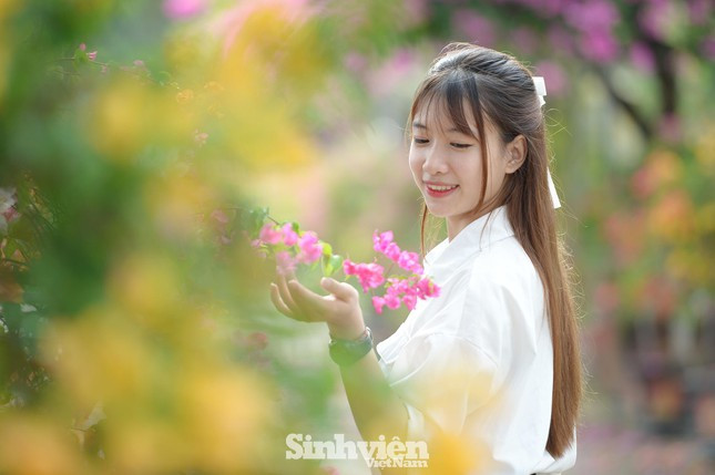 Những sắc màu rực rỡ trong khuôn viên Học viện Nông nghiệp Việt Nam.