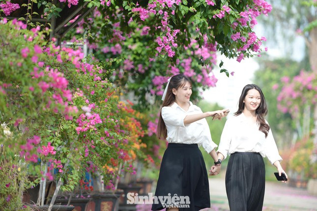 Nhóm sinh viên năm thứ hai Học viện Nông nghiệp Việt Nam tranh thủ thời gian tạm nghỉ để khám phá không gian, sắc màu tại đây.