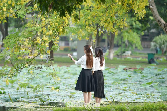 Góc bốn hồ được mệnh danh là nơi tạo điểm nhấn ấn tượng nhất trong khuôn viên ngôi trường rộng bậc nhất Hà Nội.