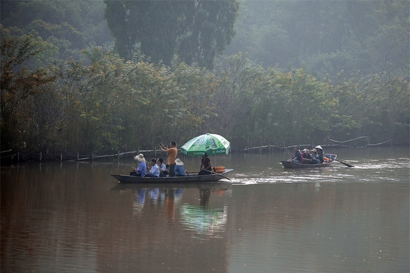 Để ngắm hoa súng, du khách nên đến suối Yến từ sáng sớm.