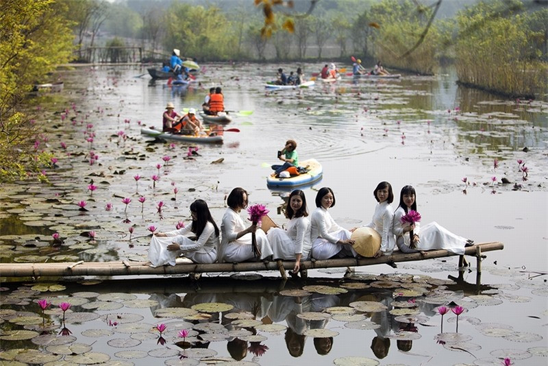 Mùa hoa súng làm nức lòng bao bạn trẻ bởi vẻ đẹp lãng mạn của dòng suối ngập tràn sắc hoa tươi thắm.