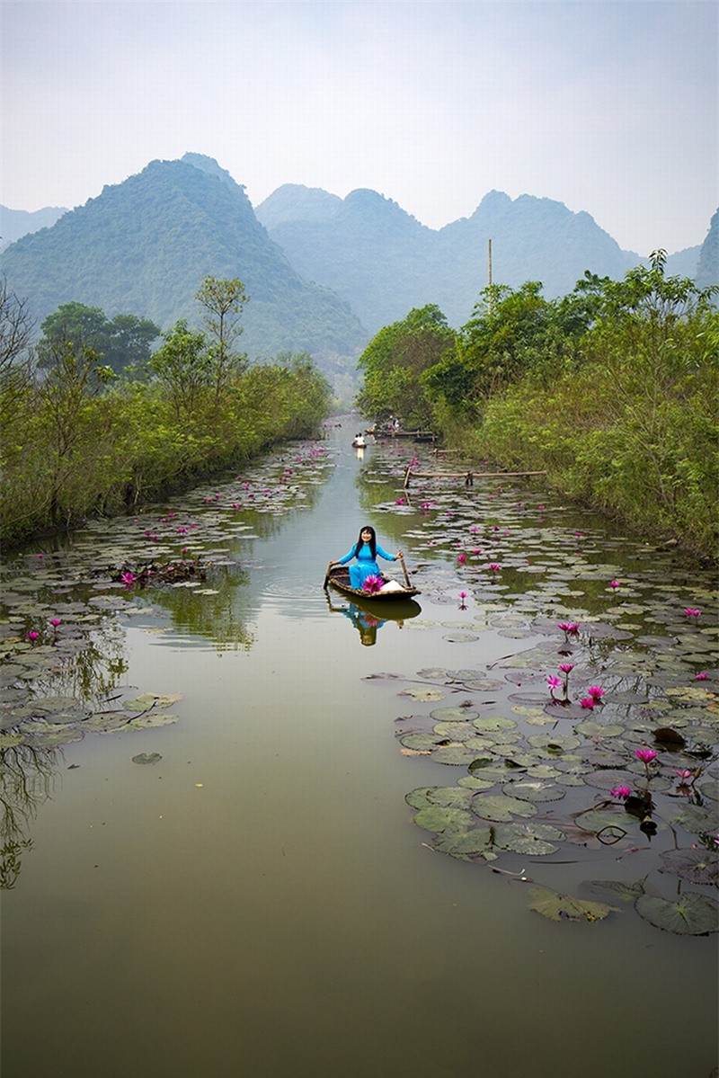 Thời điểm chụp hoa súng đẹp nhất là từ 6-8h sáng.