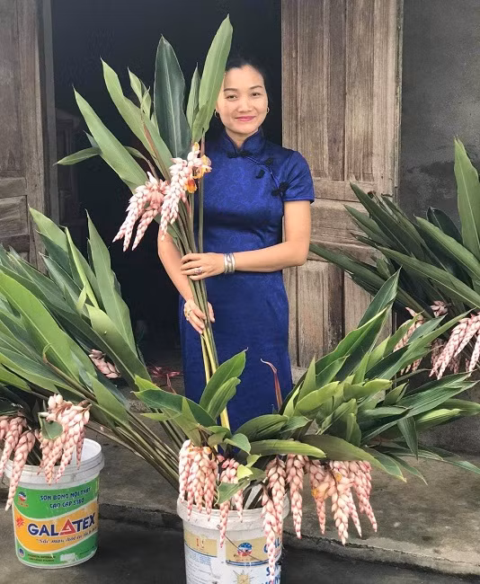 Bat ngo loai hoa lan het nhu bong lua, dan buon ban ca nghin canh-Hinh-2