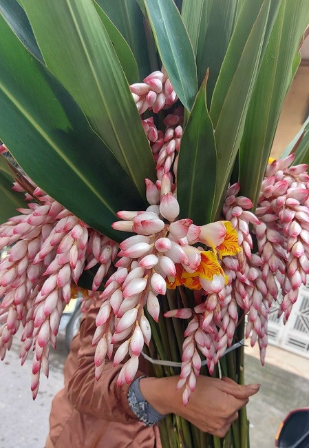 Bat ngo loai hoa lan het nhu bong lua, dan buon ban ca nghin canh-Hinh-6