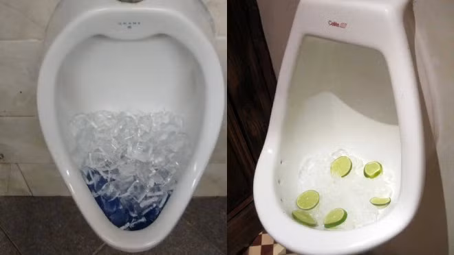 Thay nguoi khac do da vao bon cau, co gai hoc theo voi khi biet ly do