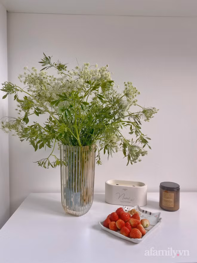 Moi la hoa ca rot, thu hut nhieu ba noi tro mua ve cam-Hinh-4