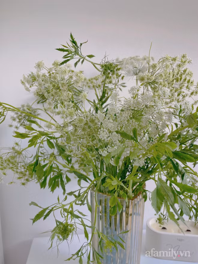 Moi la hoa ca rot, thu hut nhieu ba noi tro mua ve cam-Hinh-2