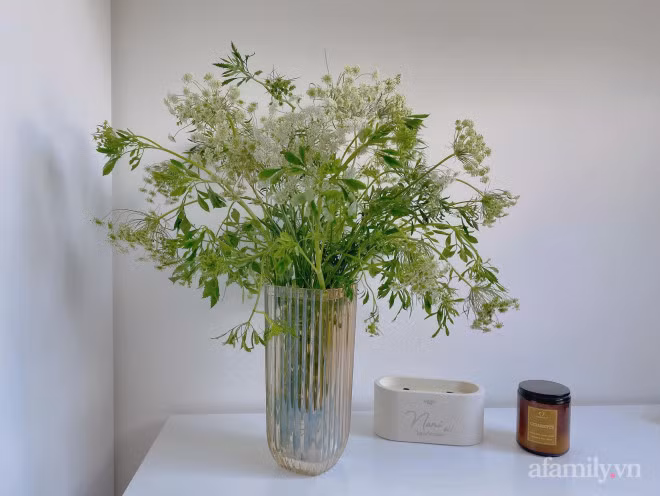 Moi la hoa ca rot, thu hut nhieu ba noi tro mua ve cam