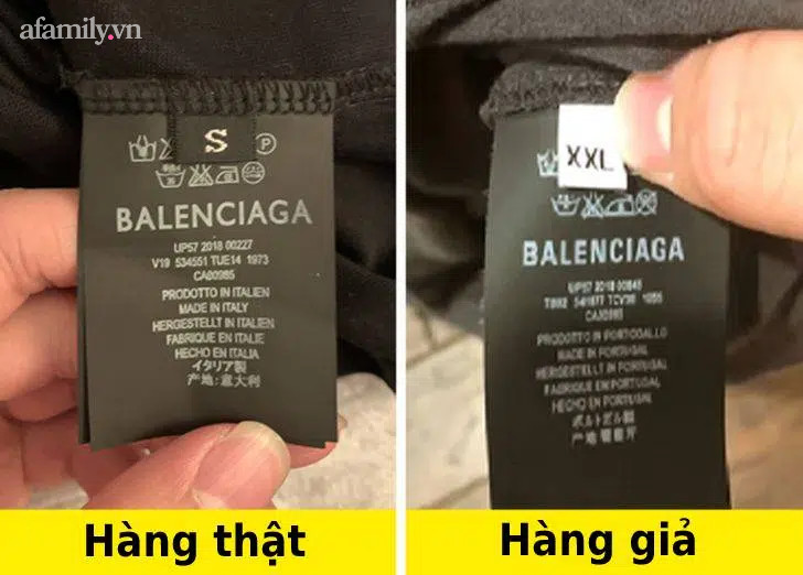 Chi ban 8 meo phat hien do gia chi trong vong 2 giay-Hinh-4