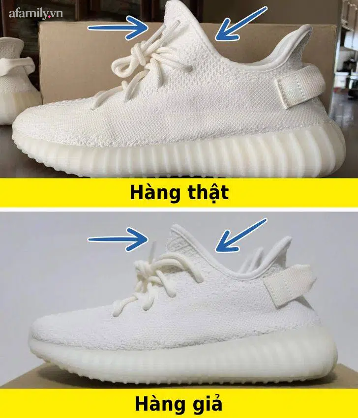 Chi ban 8 meo phat hien do gia chi trong vong 2 giay-Hinh-8