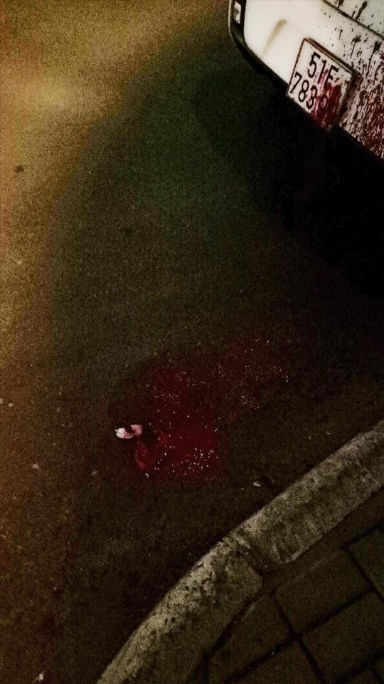 Khanh My nhac lai ngay dinh menh kho tin voi 