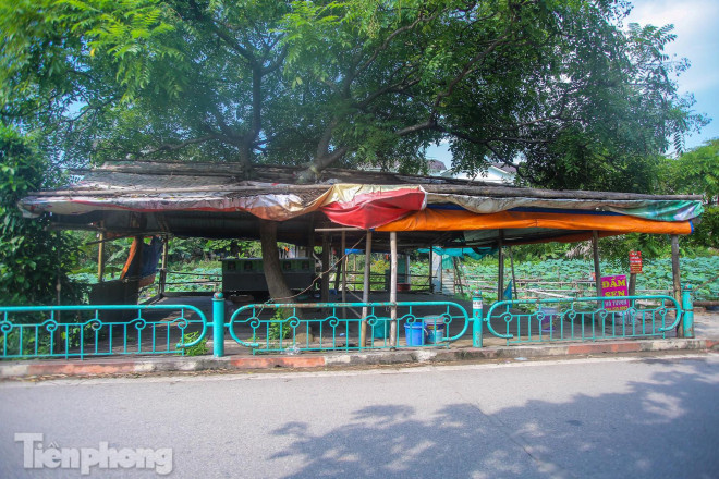 Khu ki-ốt dịch vụ "ăn theo" mùa sen đều hoang vắng vì không có khách. 