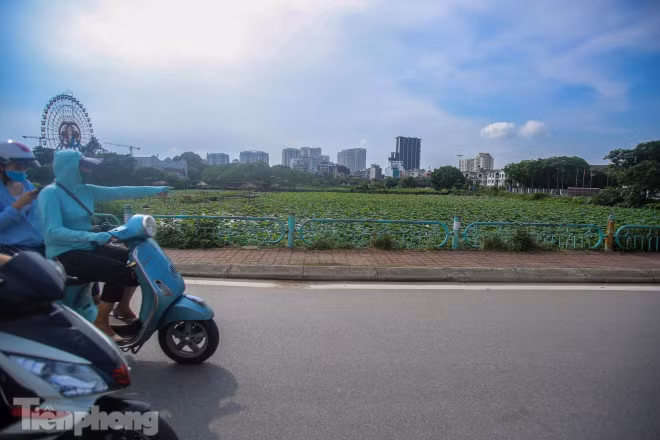 Việc đầm sen tạm dừng hoạt động khiến nhiều người tiếc nuối.