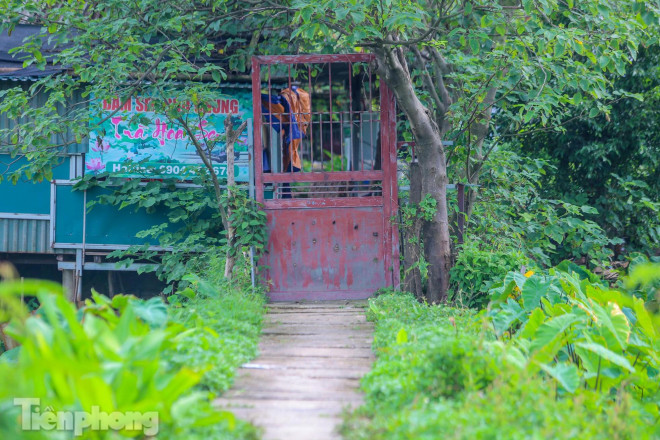 "Chỉ mong cuối tháng 6, tình hình dịch bệnh khả quan, đầm sen được mở cửa để có thể thu hồi được chút ít", chủ một vườn sen chia sẻ. Trong ảnh: Các lối vào đầm sen đều cửa đóng then cài. 