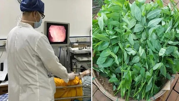 6 loai rau la khac tinh cua benh dau da day