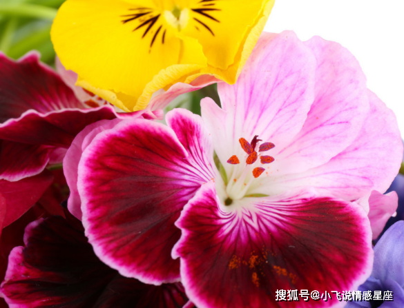 Không những thế, trẻ sinh vào giờ này thường chăm chỉ, cầu tiến và ham học hỏi. Bé thường khỏe mạnh, nhanh nhẹn và rất ít khi ốm đau, bệnh tật. Trẻ sinh giờ này được dự đoán sẽ mang đến may mắn, phúc lộc cho cha mẹ. Phụ huynh có con sinh giờ này thường làm ăn phát đạt, cuộc sống sung túc hơn trước.