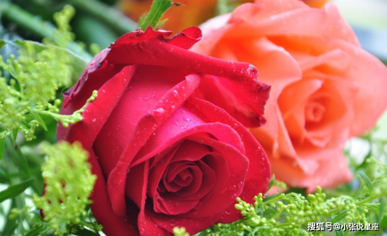 Khung giờ Ngọ Âm lịch (11:00- 13:00). Trẻ sinh vào buổi trưa thường là người trưởng thành hơn so với tuổi. Tính tình của họ rất cởi mở, rộng lượng. Họ thường hay giúp đỡ người khác mà không nề hà, toan tính. Người sinh khung giờ Âm lịch này có chí hướng trong sự nghiệp. Họ học hành giỏi giang, có ý chí cầu tiến từ nhỏ.