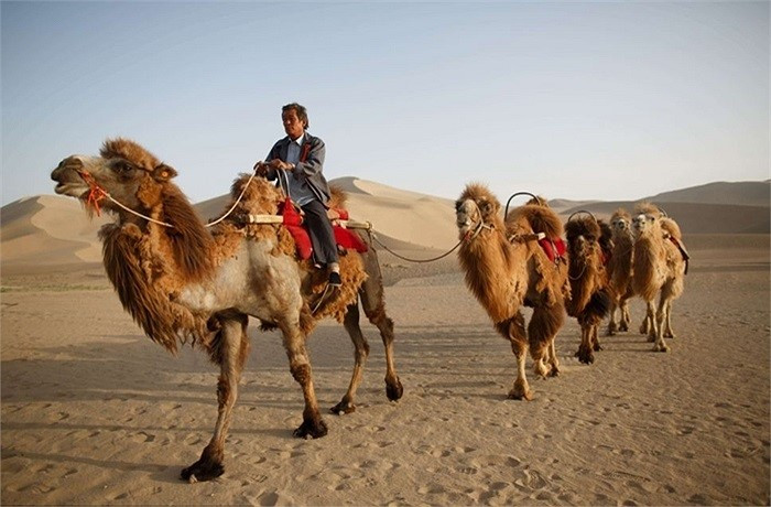 Khách du lịch tới đây sẽ được cưỡi lạc đà đi tham quan xung quanh hồ và sa mạc.