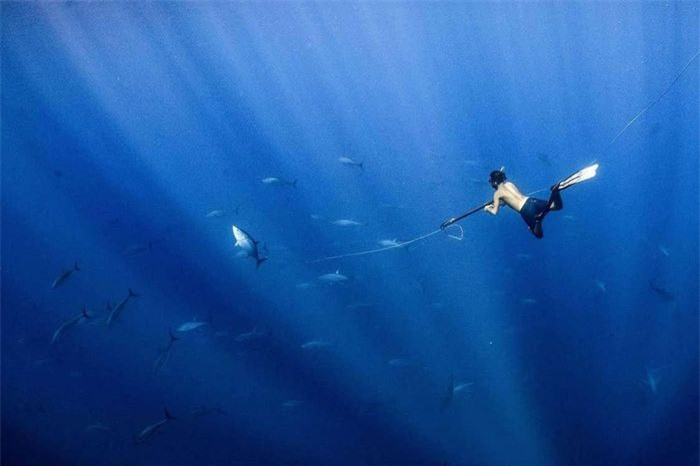 Vị trí thứ 3 trong hạng mục Đại dương, Cuộc sống và Sinh kế được trao cho tác phẩm của nhiếp ảnh gia Henley Spiers người Anh. Bức ảnh chụp lại cảnh một người thợ săn cá ngừ vây vàng với khẩu súng trên tay, ngoài khơi bờ biển Costa Rica. 