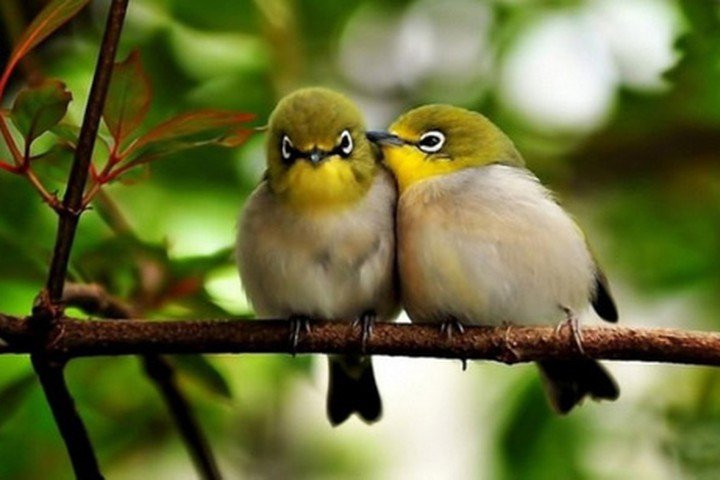 3 điềm lành này xuất hiện: Gia chủ “thời đến đuổi không đi” - Hình 2 3 diem lanh nay xuat hien: Gia chu “thoi den duoi khong di”-Hinh-2