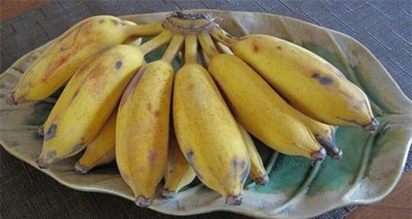 Điều gì sẽ xảy ra nếu bạn thường xuyên ăn 1 quả chuối trước khi đi ngủ? Dieu gi se xay ra neu ban thuong xuyen an 1 qua chuoi truoc khi di ngu?