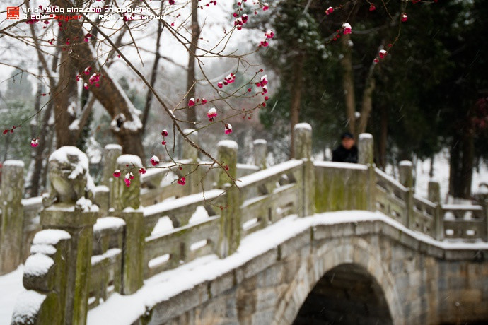 Cây cầu Tiểu Hồng cũng được du khách rất quan tâm. Theo Tam Quốc Diễn Nghĩa, đây là nơi gặp gỡ giữa Lưu Bị và nhạc phụ của Gia Cát Lượng trong lần thứ 2 Lưu Bị tới lều cỏ. Ảnh: Sina.