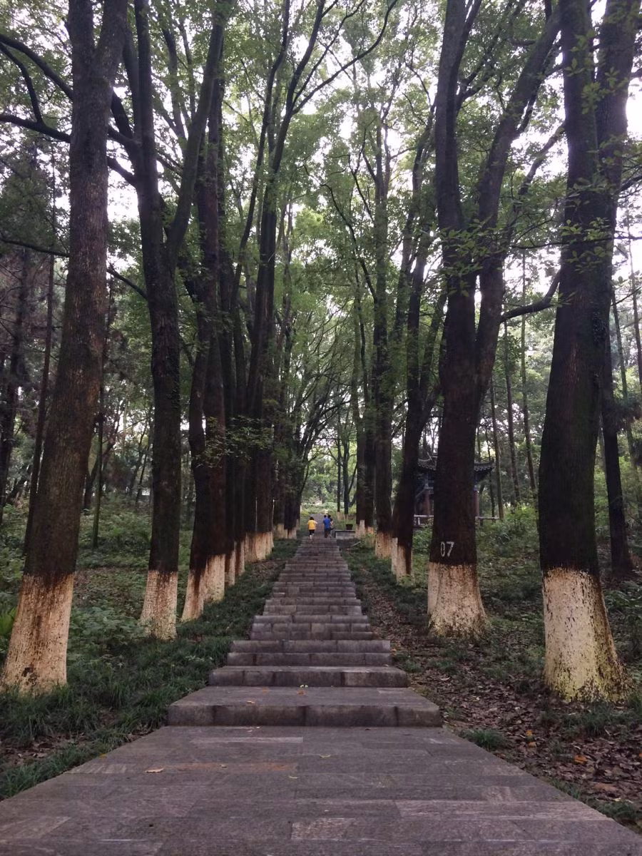 Tại đây, Gia Cát Lượng đã sinh sống khi còn trẻ, là nơi ông tự mình cày ruộng. Long Trung chính là địa điểm có lều cỏ mà Lưu Bị phải tới 3 lần để mời Gia Cát Lượng xuất núi. Ảnh: Sina.