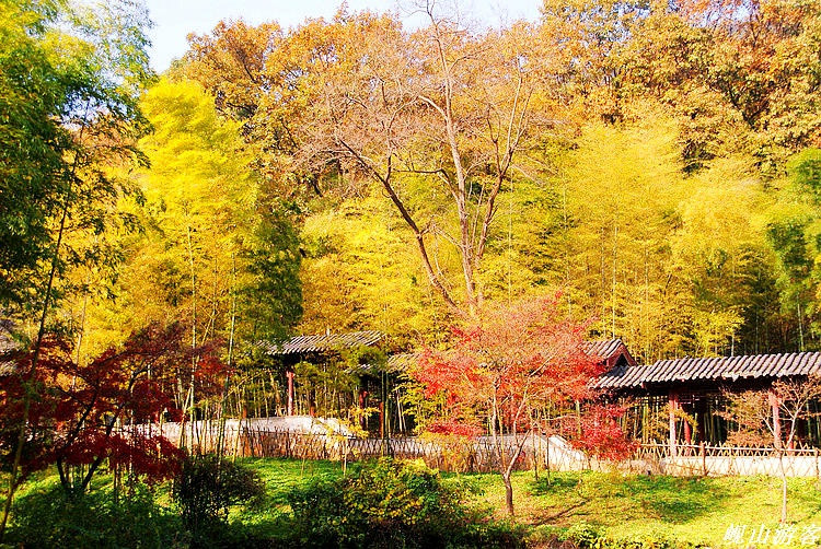 Cảnh sắc của Long Trung từng được nhà văn La Quán Trung miêu tả rất hấp dẫn: Núi không cao nhưng rất đẹp, nước không sâu nhưng trong vắt, đất không rộng nhưng bằng phẳng, rừng không lớn nhưng tươi tốt, trúc, thông rậm rập, chim kêu vượn hót rộn ràng cả khu rừng.... Ảnh: Sina.