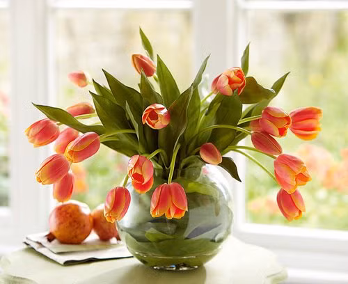 5 loai cay pha tan phong thuy, gay hao tai tan loc-Hinh-2