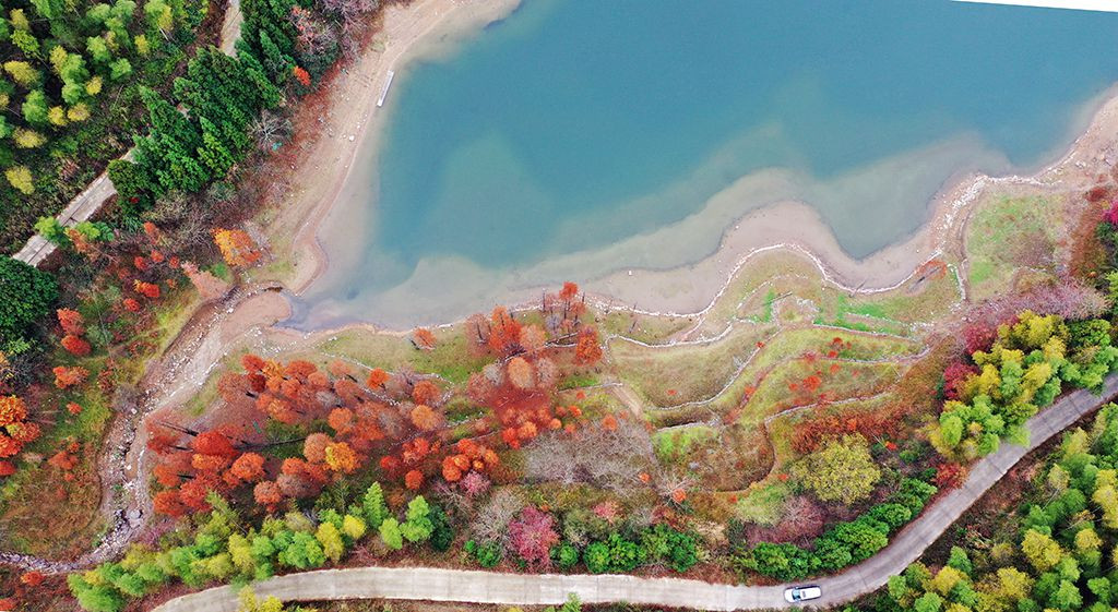  Hồ trữ nước Gutan, Chiết Giang: Cuối thu, những cây gỗ đỏ ban mai ở đây chuyển màu, vàng rực trong ánh nắng. Khu rừng thu hút du khách đến chụp ảnh, hít thở không khí trong lành và tận hưởng sự tĩnh lặng của thiên nhiên. Nơi này còn nổi tiếng vào mùa thu đến mức trở thành nơi quay phim. Ảnh: Chinadaily.