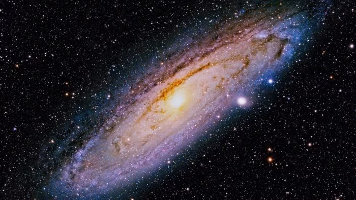 Vu tru co mui vi gi: Thit chay, qua mam xoi hay ruou rum?