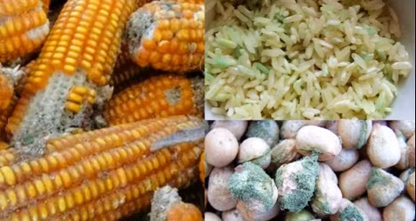 Diem mat 7 vat dung nha bep tiem an nguy co ung thu dang so-Hinh-2