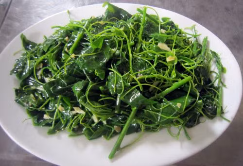 Nếu như vào chính vụ ngót rừng năm ngoái, rau đổ về Hà Nội với giá chỉ 120.000 đồng/kg, thậm chí có thời điểm chỉ 80.000 đồng/kg, hoa rau ngót rừng cũng chỉ 120.000-130.000 đồng/kg thì giá ngót rừng năm nay được đánh giá là chát hơn nhiều.