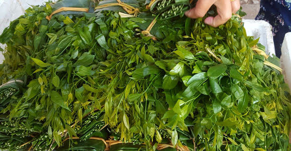 "Loại rau này cực kỳ đắt khách, hàng về đến đâu bán hết đến đó. Phần lớn rau về sáng đến tầm đầu giờ chiều đã hết. Đặc biệt, hoa rau ngót muốn ăn còn phải đặt trước, bởi hoa gom mua được ít hơn rau rất nhiều" - một đầu mối chuyên bán đặc sản rau rừng ở Hà Nội cho hay.