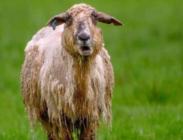 Kiem tien ty/nam chi nho nang cuu-Hinh-3