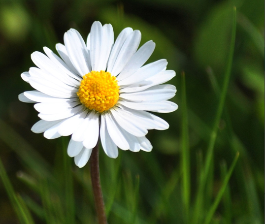Trong mam com nguoi yeu bong thot ra 1 loi khien bo toi gian nong mat