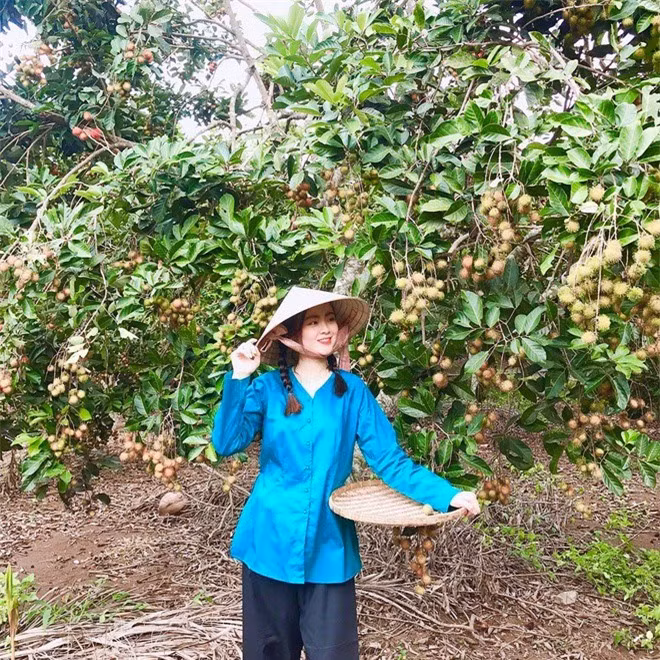 Ngoài TP Biên Hòa giữ vai trò là tỉnh lỵ, Đồng Nai còn có TP Long Khánh, vừa được thành lập năm 2019 trên cơ sở thị xã Long Khánh trước đó. Đây vốn là vùng đất nổi tiếng với đặc sản trái cây thơm ngon.