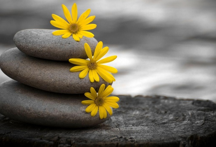 Người hiền tự có phúc tướng, sống thiện khắc có quý nhân phù trợ Nguoi hien tu co phuc tuong, song thien khac co quy nhan phu tro