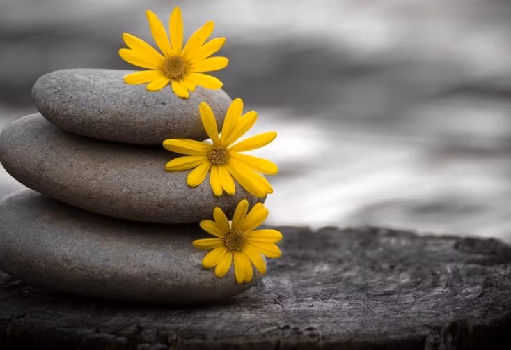 Người hiền tự có phúc tướng, sống thiện khắc có quý nhân phù trợ Nguoi hien tu co phuc tuong, song thien khac co quy nhan phu tro