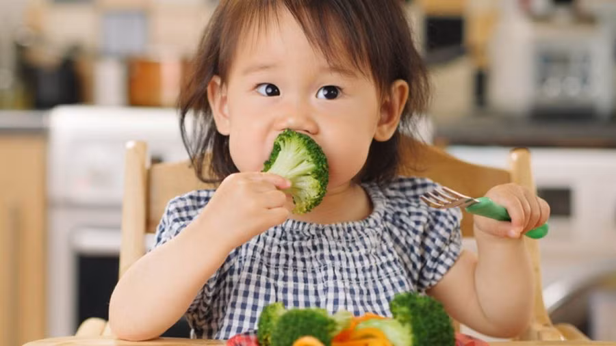 5 thuc pham bo nao, giup tre thong minh hon-Hinh-2