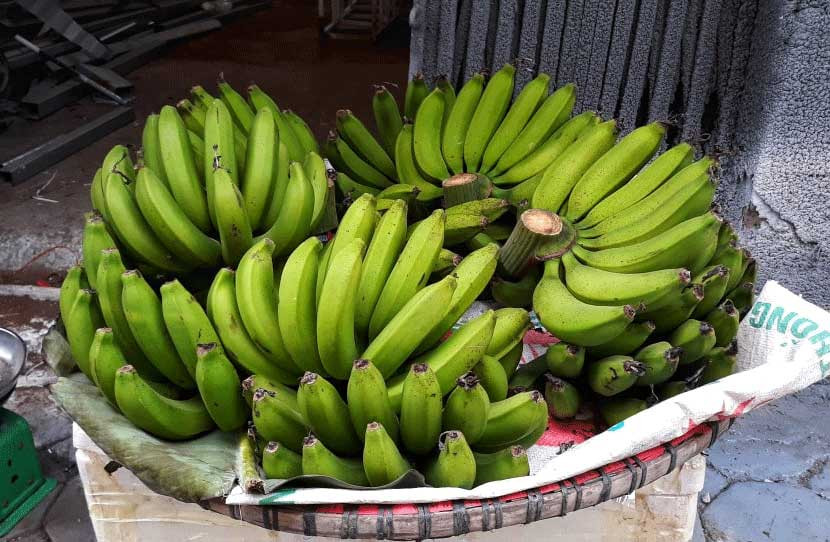 Chon chuoi tho ngay Tet tranh pham dai ky nay-Hinh-2