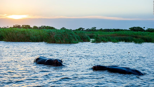 Nhung di san chau Phi tren bo vuc bi 